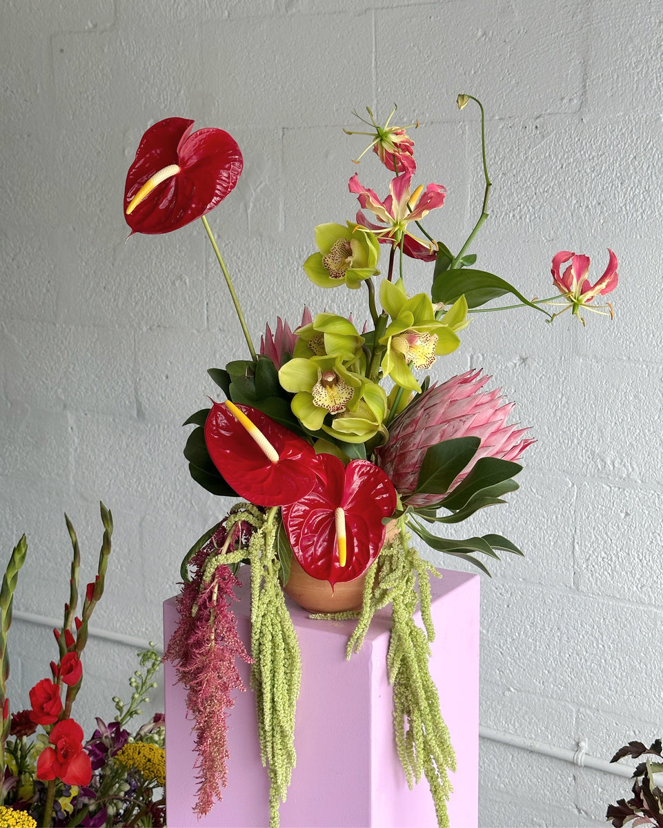 anthurium modern arrangements Tropical(ish) | Calma