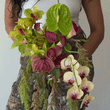 Load image into Gallery viewer, Bridal Bundle | Bouquet + Boutonniere
